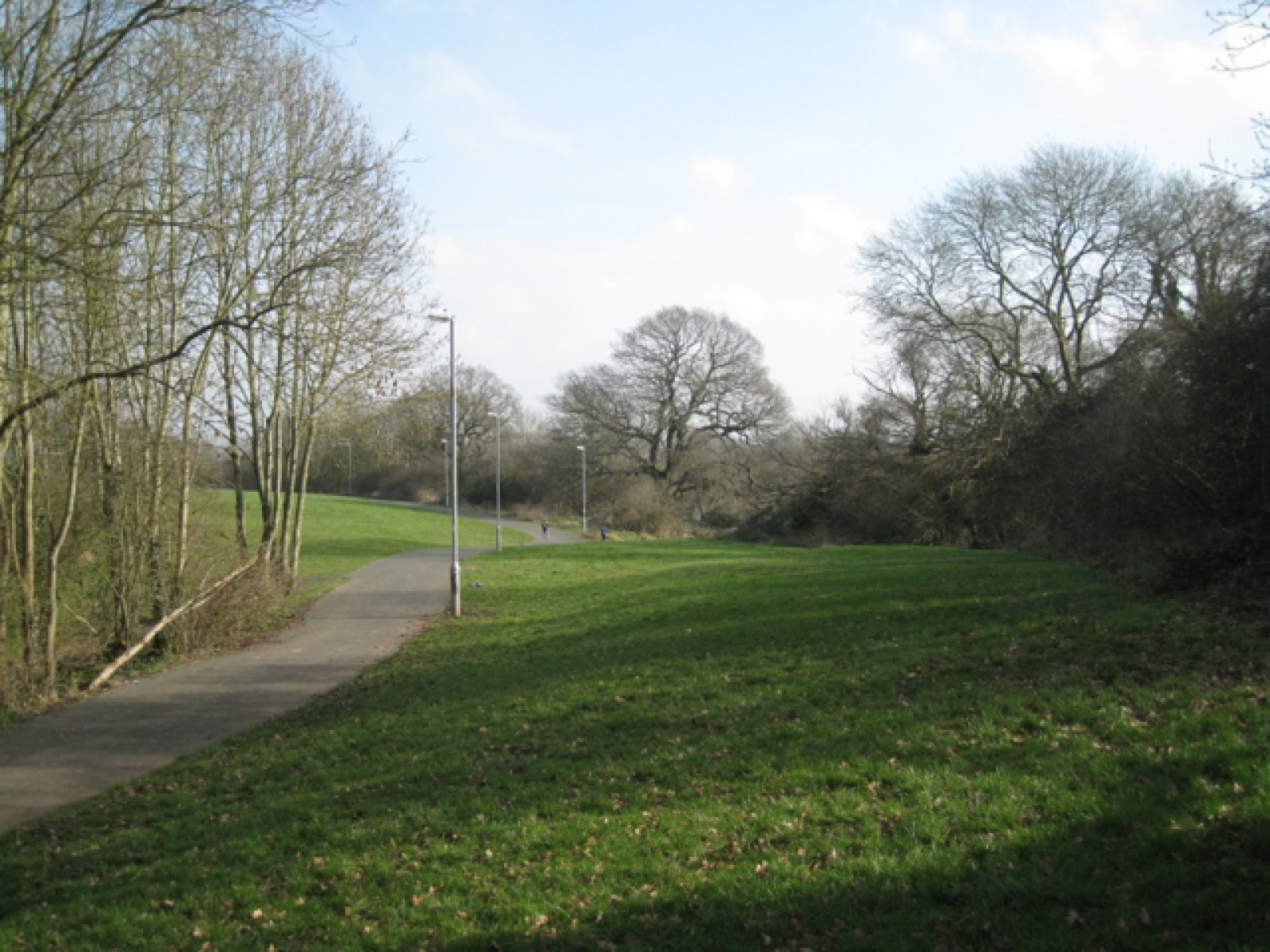 A wide grassy open space with a footpath and trees in spring
